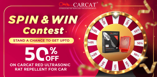 Spin and Win CARCAT RED