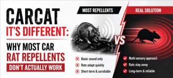 Stop rodent damage with CARCAT. Featuring advanced piezoelectric crystals and LED strobing technology, it offers superior, research-backed protection for your car engine.